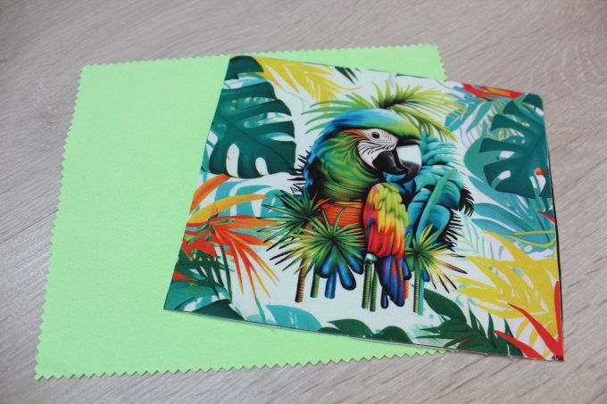 KIT LINGETTE LUNETTE - Perroquet