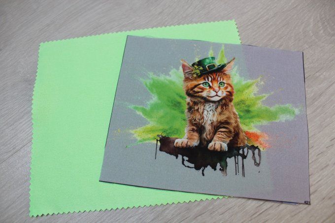 KIT LINGETTE LUNETTE - Chat au chapeau